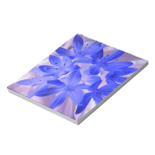 Gloire du Bloc-notes bleu bouillonnant à la neige (Tourné)