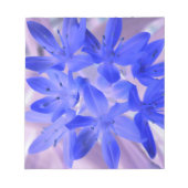 Gloire du Bloc-notes bleu bouillonnant à la neige (Devant)