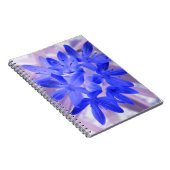 Gloire du Carnet bleu bouillonnant de neige (Côté Droit)