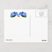 GLOIRE DU MATIN ~ Carte postale (Dos)