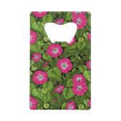 Gloire du matin en rose et vert (Dos)