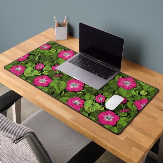 Gloire du matin en rose et vert (Bureau 2)
