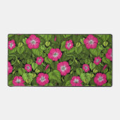 Gloire du matin en rose et vert (Recto)