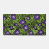 Gloire du matin en violet et vert (Recto)