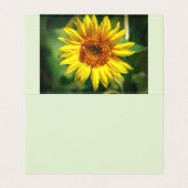 Gloire du Tournesol (Inside Unfolded)