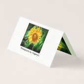 Gloire du Tournesol (Back)