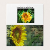 Gloire du Tournesol (Outside Unfolded)