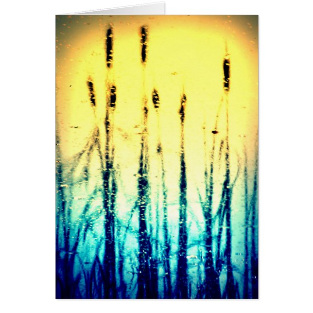 Gloire reflétée (Devant)