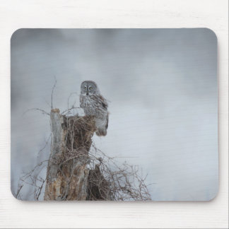 Gloomy Sunday Muismat