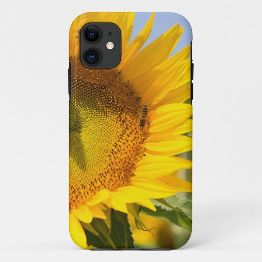 Gloride zonnebloemen! Case-Mate iPhone case (Achterkant)