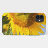 Gloride zonnebloemen! Case-Mate iPhone case (Achterkant (horizontaal))