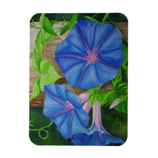 Glorie van de Morgen Magneet (Verticaal)