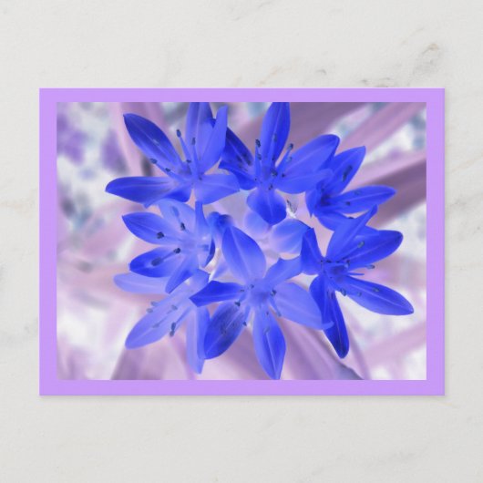 Glorie van de sneeuwschokkende blauwe Briefkaart (Voorkant)