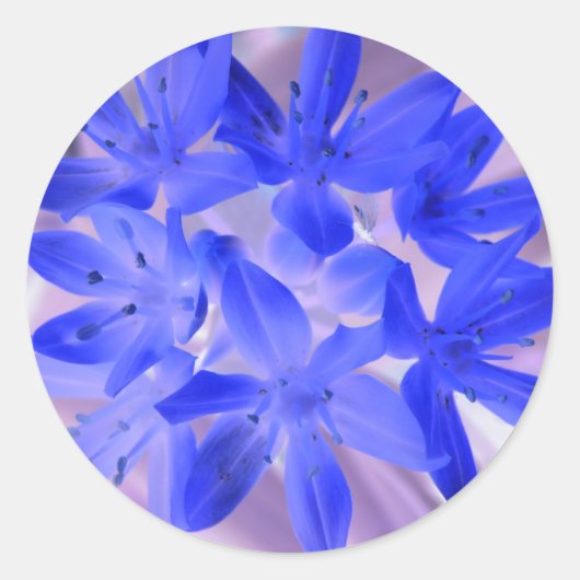 Glorie van de sneeuwschokkende blauwe sticker (Voorkant)