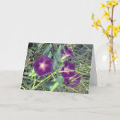 Gloriën Kaart (Gele Bloem)