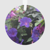 Glorieuses du Matin Bleu de Printemps (dos)