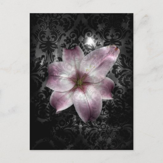 Glorious Mystery Briefkaart (Voorkant)