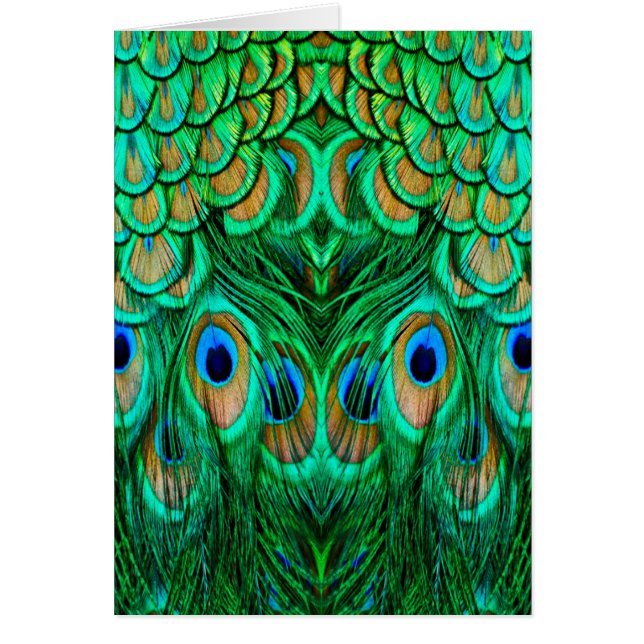 Glorious Peacock (Devant)