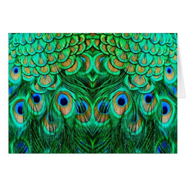 Glorious Peacock Feathers (Voorkant Horizontaal)