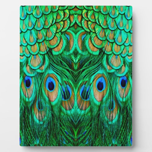 Glorious Peacock Feathers Fotoplaat (Voorkant)