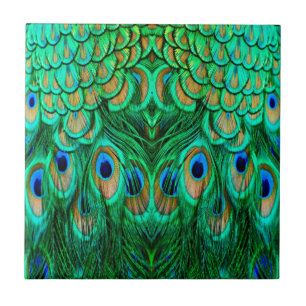 Glorious Peacock Feathers Tegeltje