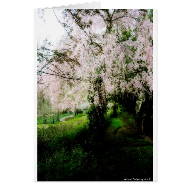 Glorious Spring Card (Voorkant)