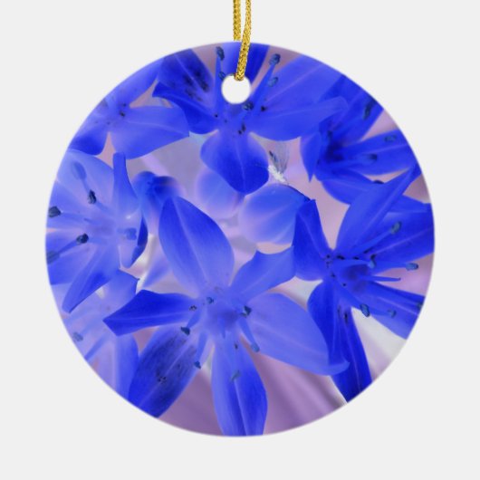 Glory van de sneeuwschokkende blauwe Aangepaste ve Keramisch Ornament (Voorkant)