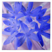 Glory van de sneeuwschokkende Blauwe Tegel Tegeltje (Voorkant)