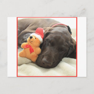 Glossy Grizzly-kerstinter Feestdagenkaart