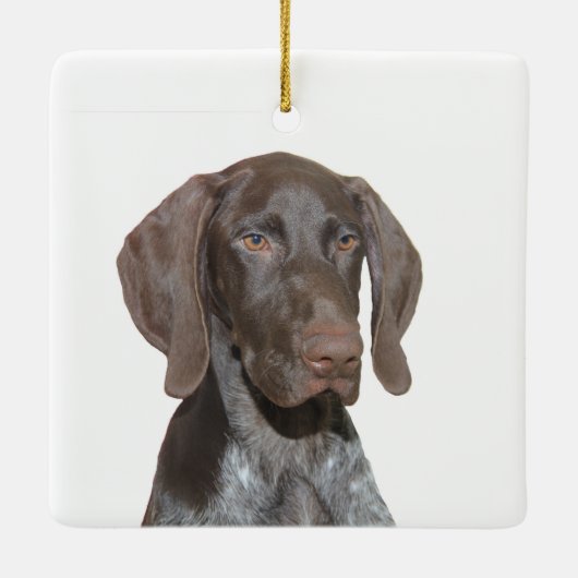 Glossy Grizzly kerstversiering Keramisch Ornament (Achterkant)