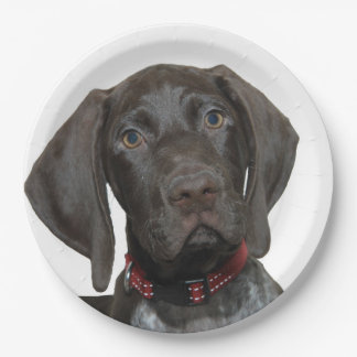 Glossy Grizzly Papieren Bordje