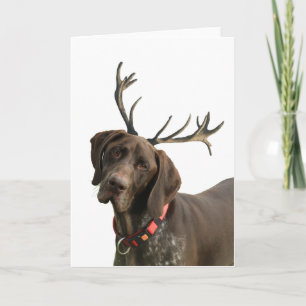 Glossy Grizzly Reindeer Pointer Feestdagen Kaart
