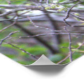 Glossy Ibis Poster (Hoek)