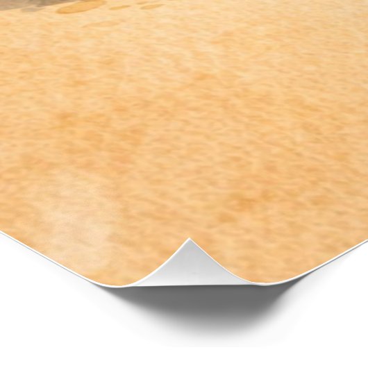 Glossy Poster (Coin)