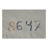 Glossy Poster (Devant)