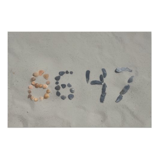 Glossy Poster (Devant)