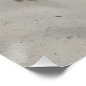 Glossy Poster (Coin)