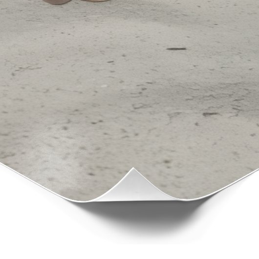 Glossy Poster (Coin)