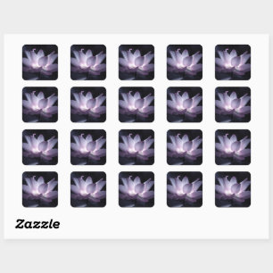Glotusbloem decoratieve bloemfotografie vierkante sticker