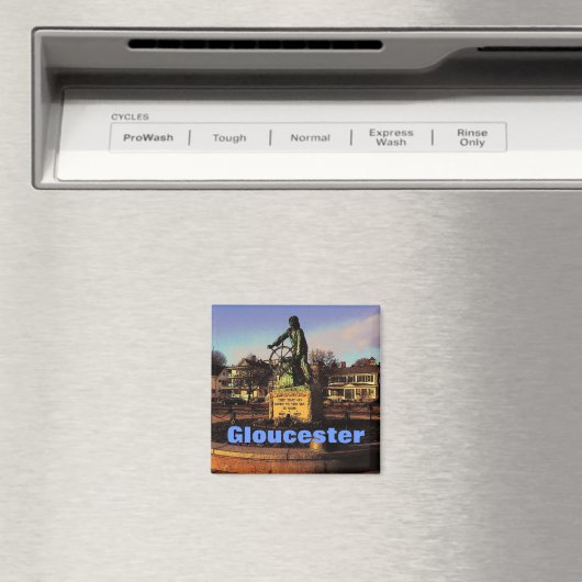 Gloucester Magnet Magneet (Insitu (Vaatwasser))