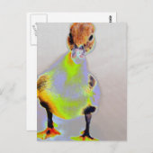 Glucovis Briefkaart (Voorkant / Achterkant)