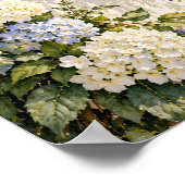 Glycine Hydrangea Bord de Lac Décoration Murale de (Coin)