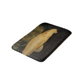 Glyptoperichthys gibbiceps badmat (Gekanteld)