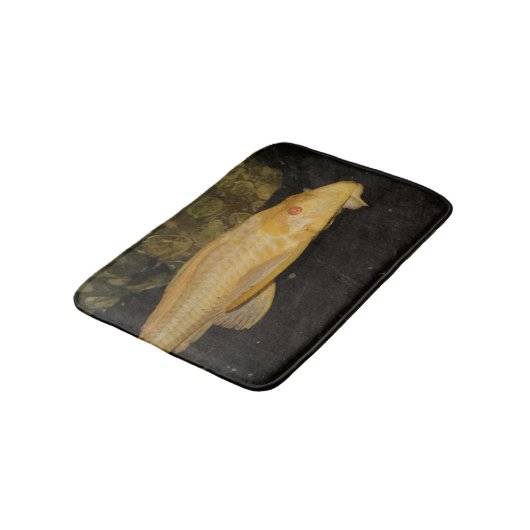 Glyptoperichthys gibbiceps badmat (Gekanteld)