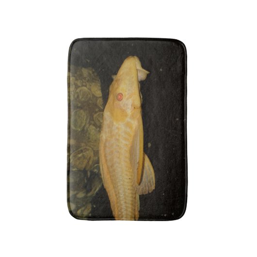 Glyptoperichthys gibbiceps badmat (Voorkant Verticaal)