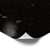 Glyptoperichthys gibbiceps perfect poster (Hoek)