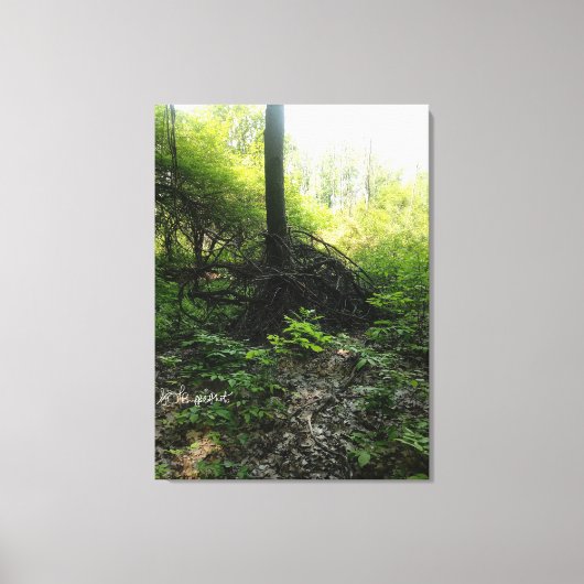 Gnarled-basis Canvas Afdruk (Voorkant)