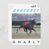 Gnarly Briefkaart (Voorkant / Achterkant)