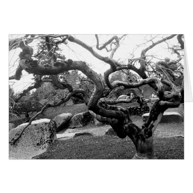 Gnarly Maple 5x7-kaart (Voorkant Horizontaal)