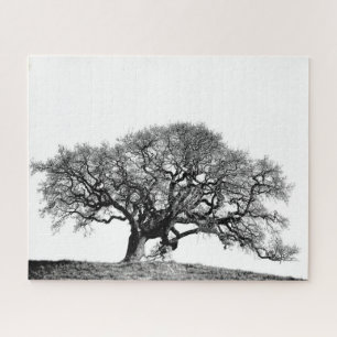 GNARLY OAK TREE LEGPUZZEL